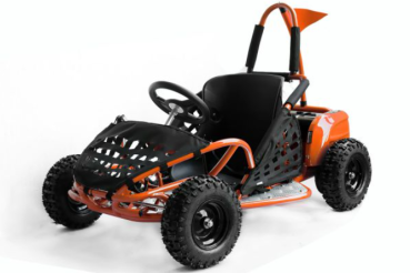Preview: 1000W Eco Buggy GoKid 6 Zoll 48V Offroad Kinderbuggy